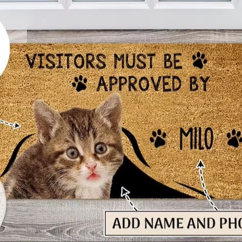 Custom quote entryway mat cat  - Interior Design Quotes incelemesi ve fiyatı
